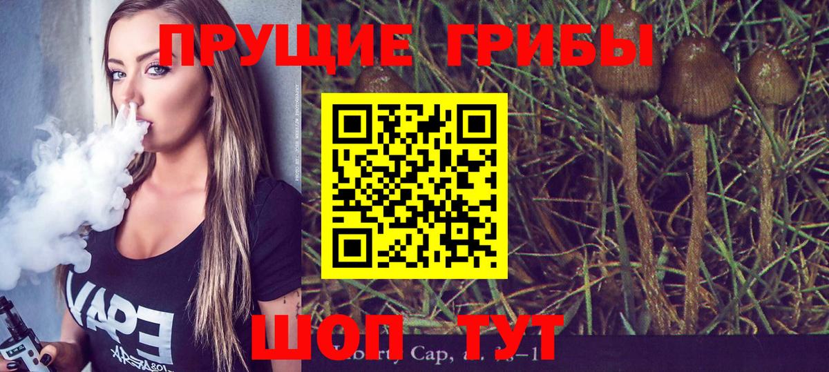 Галлюциногенные грибы мицелий Борзя