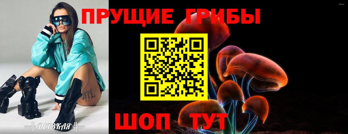 Псилоцибиновые грибы Psilocybine cubensis  Псилоцибиновые грибы мухоморы  Борзя  Вход с VPN 